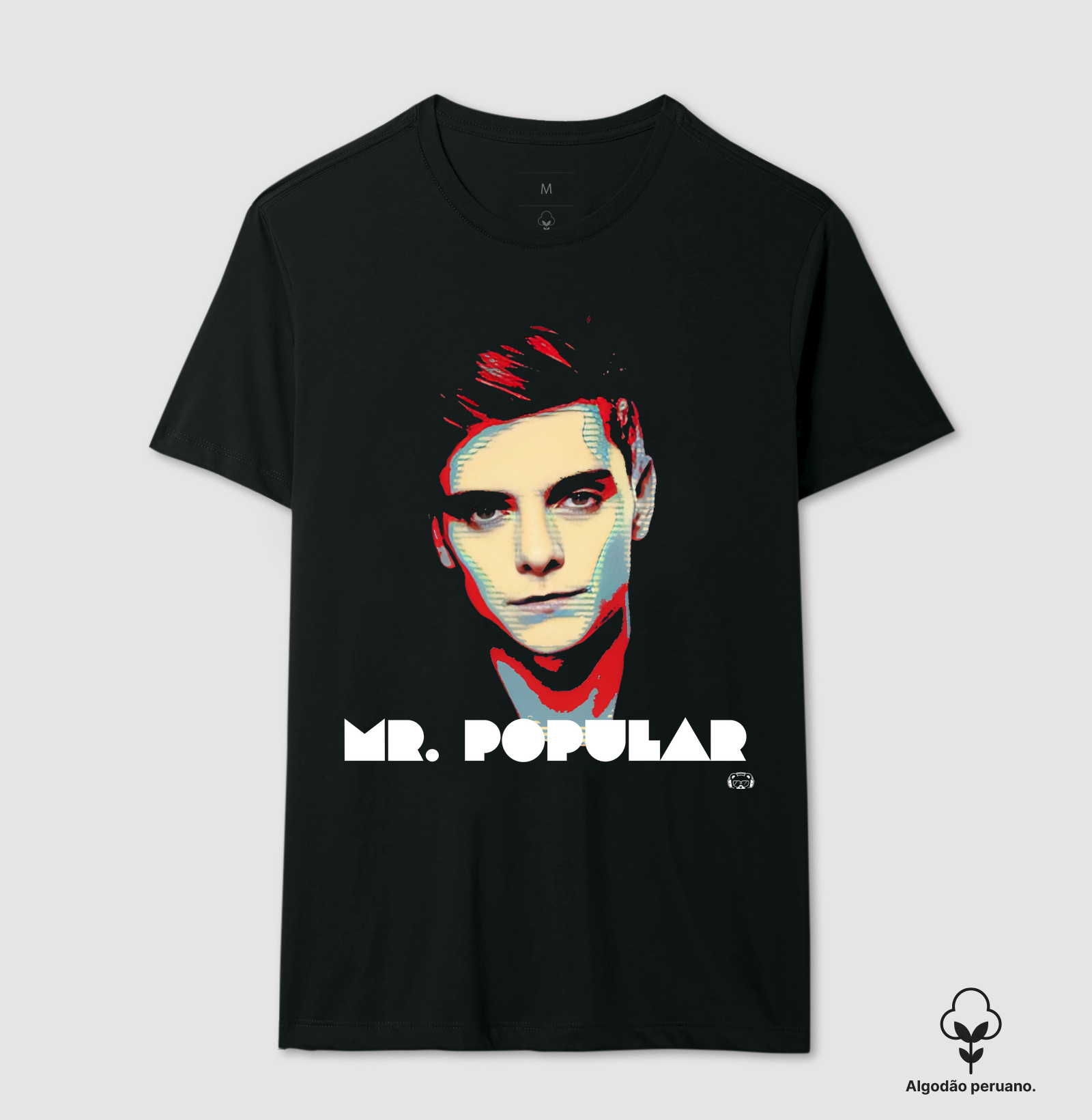 Mr. Popular Garrix