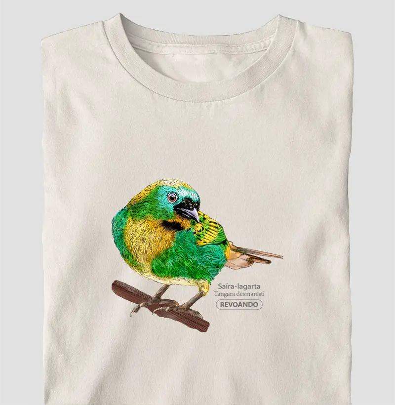 Aves do Brasil - Saíra-lagarta - Oversized