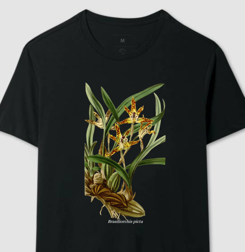 Camiseta Brasiliorchis picta t-shirt