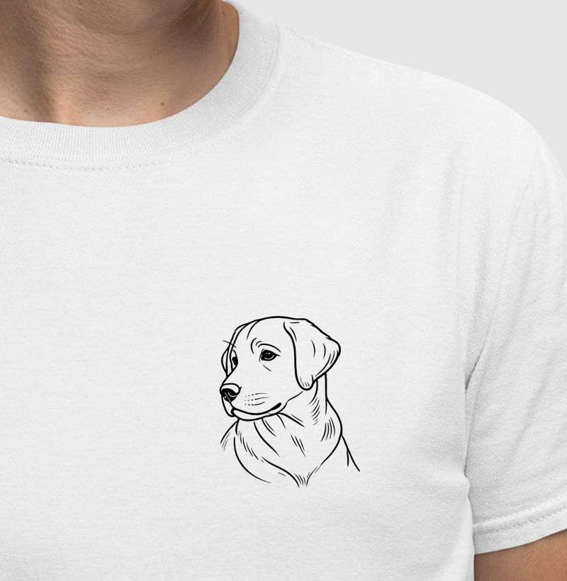 Labrador - Linhas 