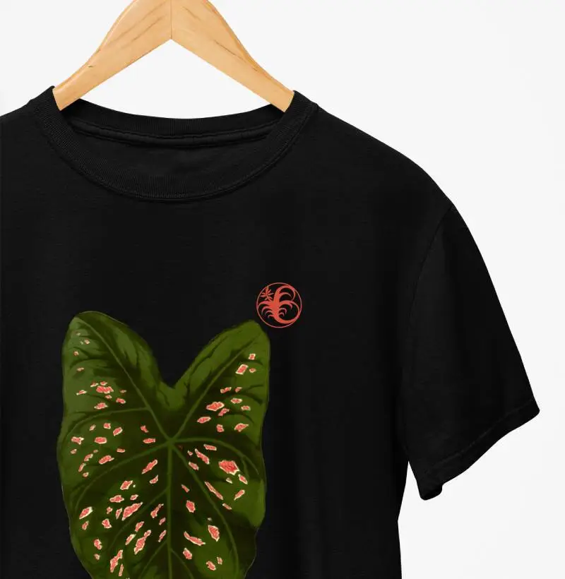 CALADIUM VI