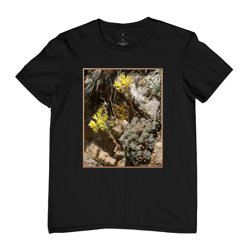 Camiseta Sedum lanceolatum ( Suculenta )