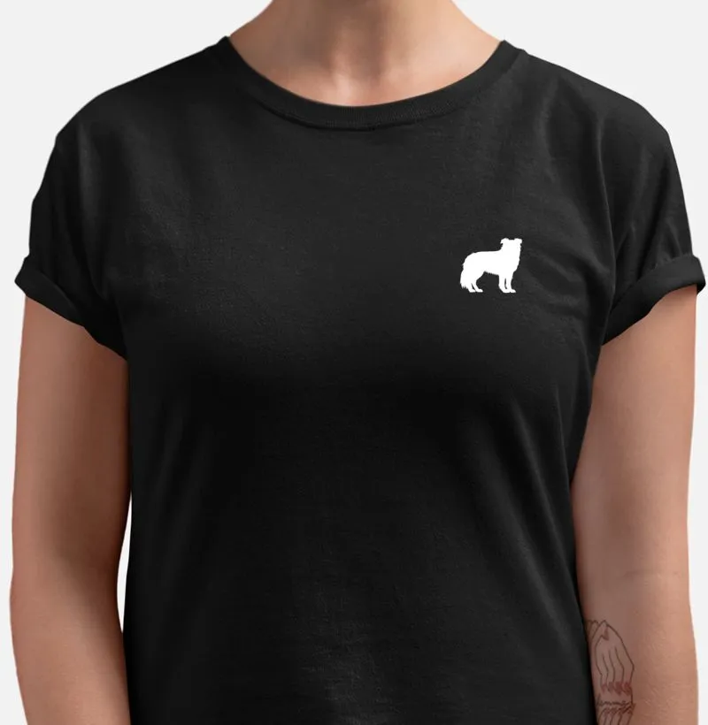 Border Collie Discreto