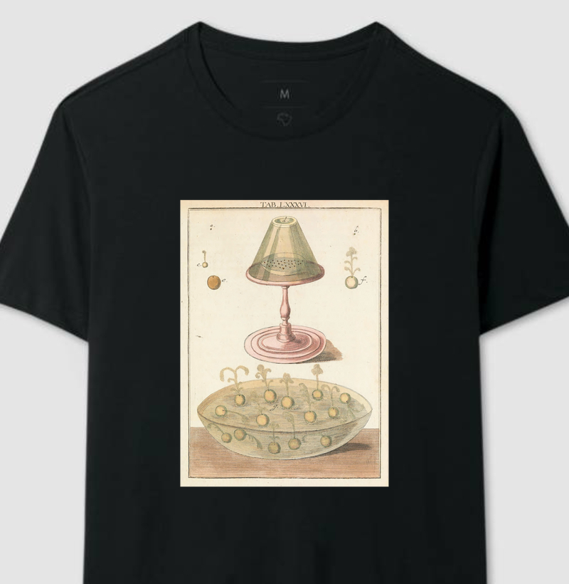 O Micromundo Revelado (1764–8)