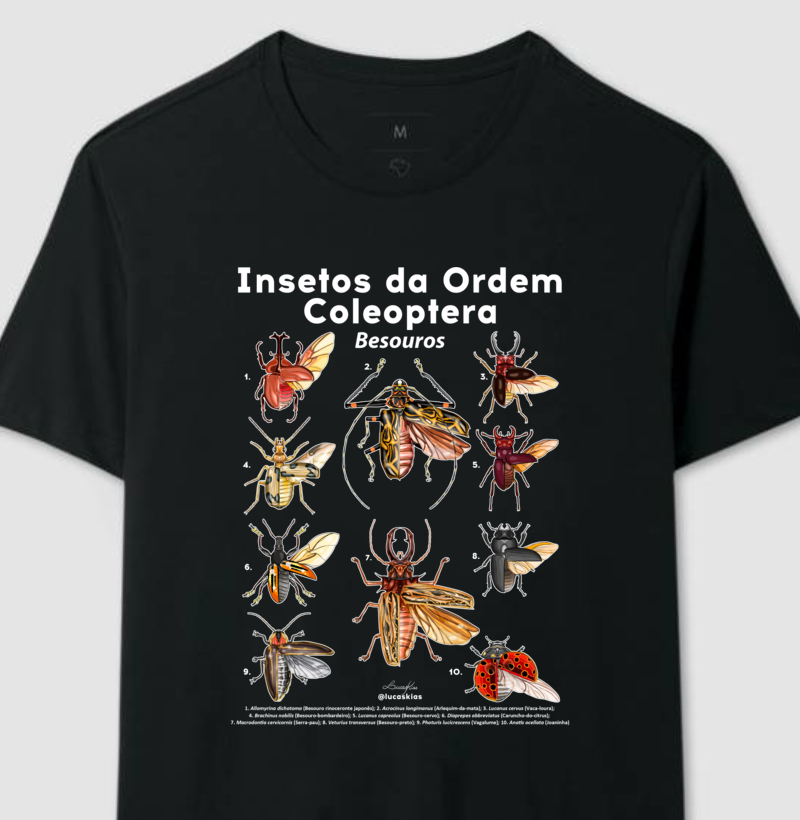 Insetos da Ordem Coleoptera | Besouros - Modelo B