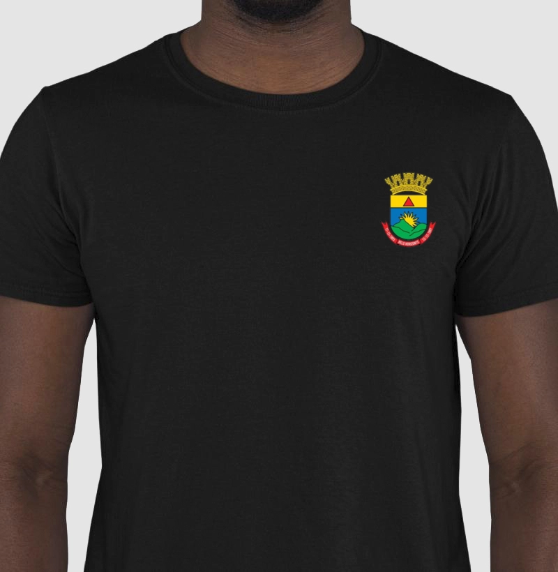 Bandeira de Belo Horizonte