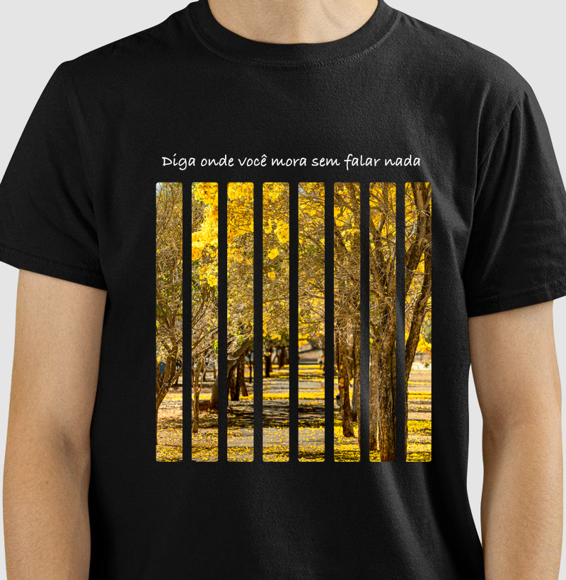 Diga onde você mora sem falar nada - Ipê