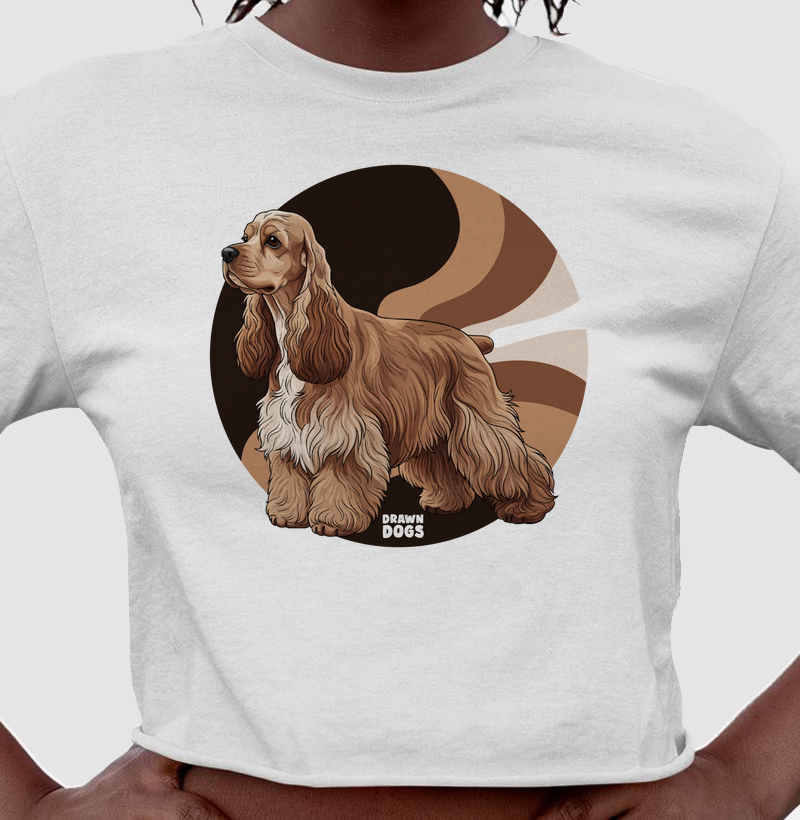 Cocker spaniel 02