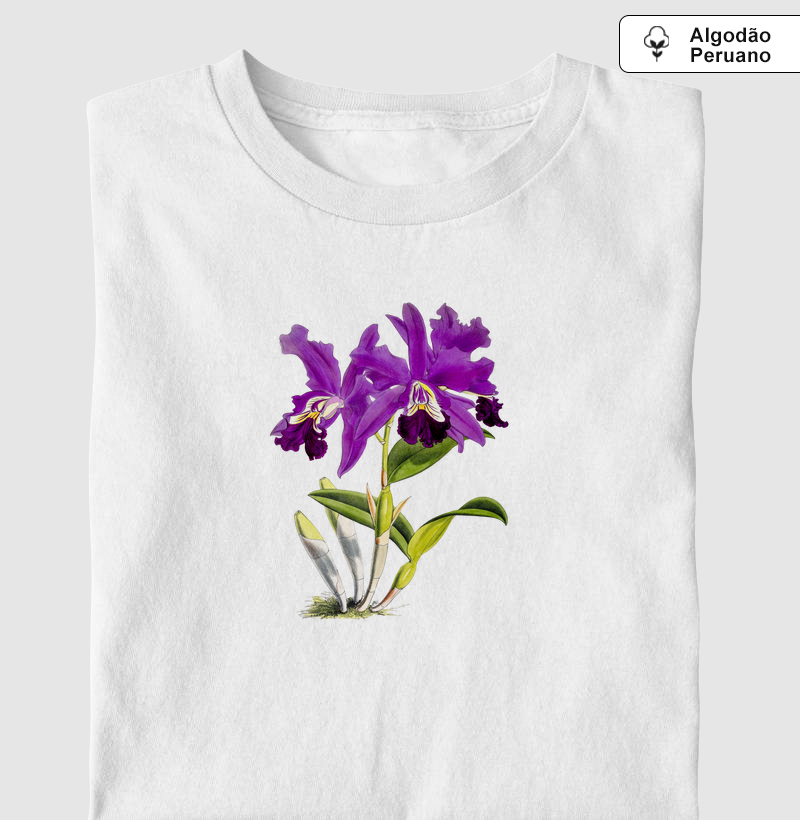 Cattleya Mardellii