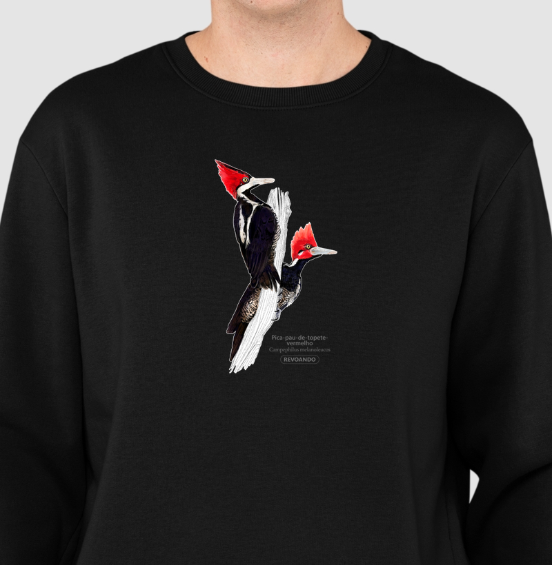 Aves do Brasil - Pica-pau-de-topete-vermelho - Moletom