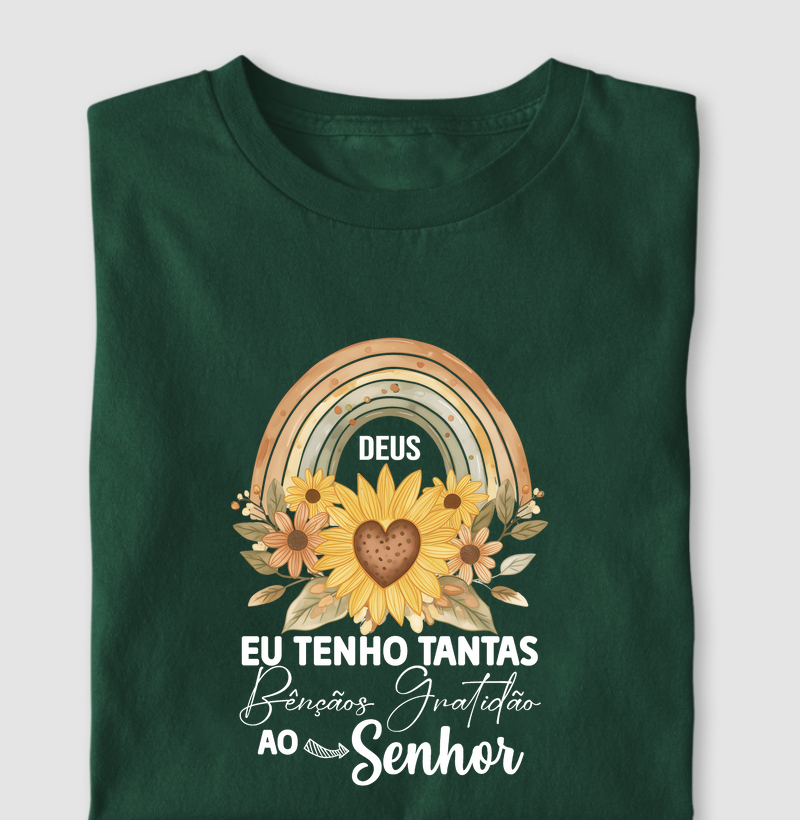 Eu tenho Tantas Bençãos