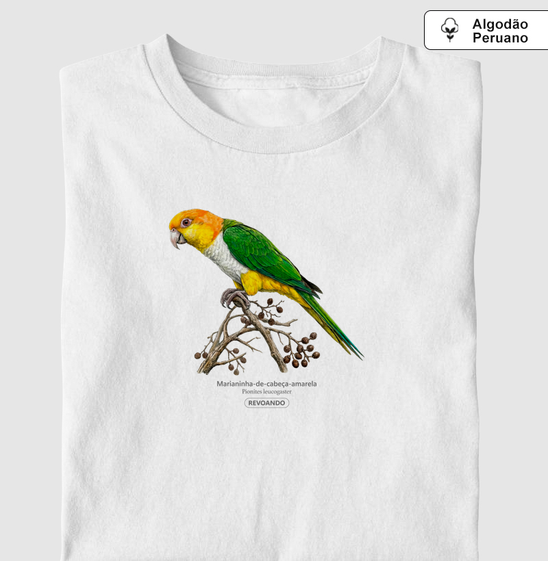 Traços Alados - Marianinha-cabeça-amarela - Algodão Peruano