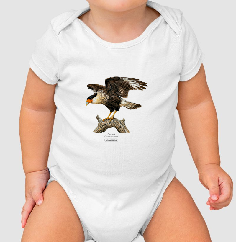 Traços Alados - Carcará - Body Infantil