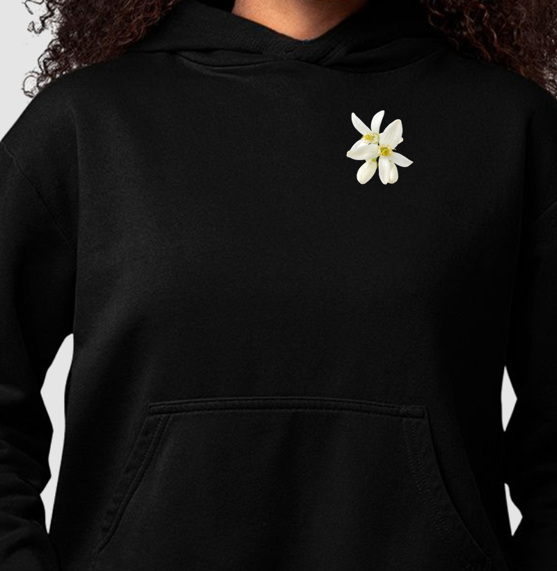 Coleção flores