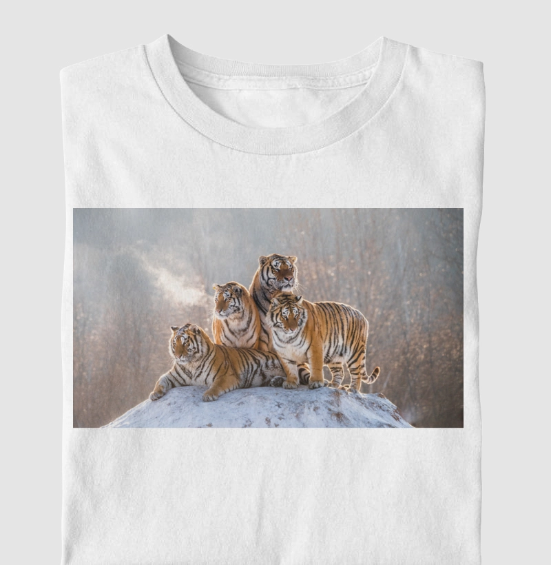 Bando de tigres