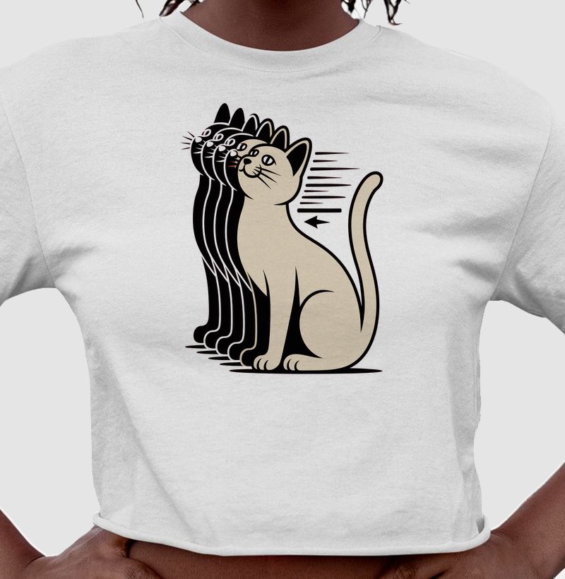 Gato em loop de Reels