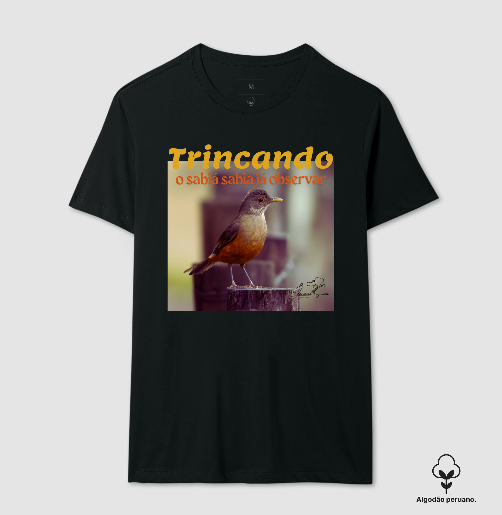 Coleção Observadores 1.0