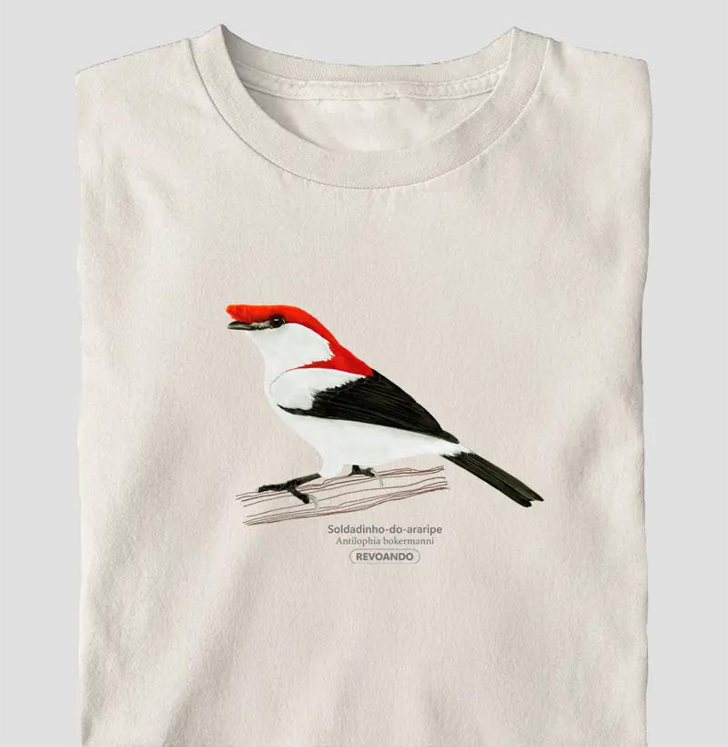 Inky Aves - Soldadinho-do-araripe - Oversized