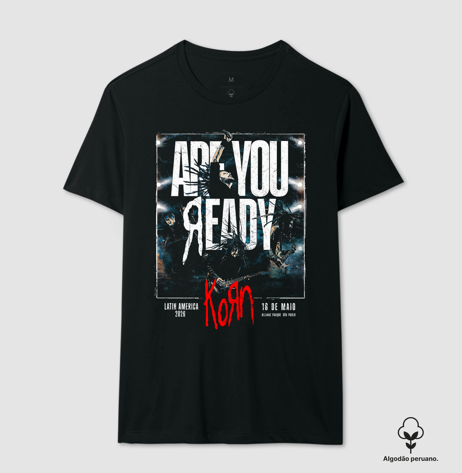 Korn Are You Ready Tour