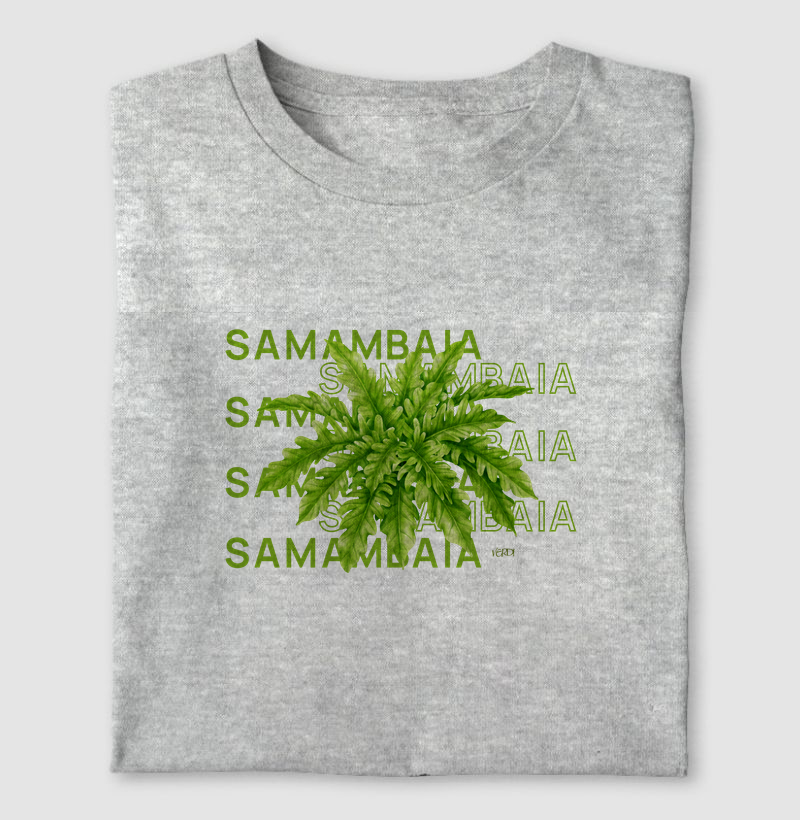 Samambaia 2