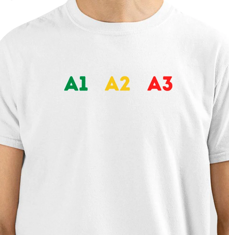 A1 A2 A3