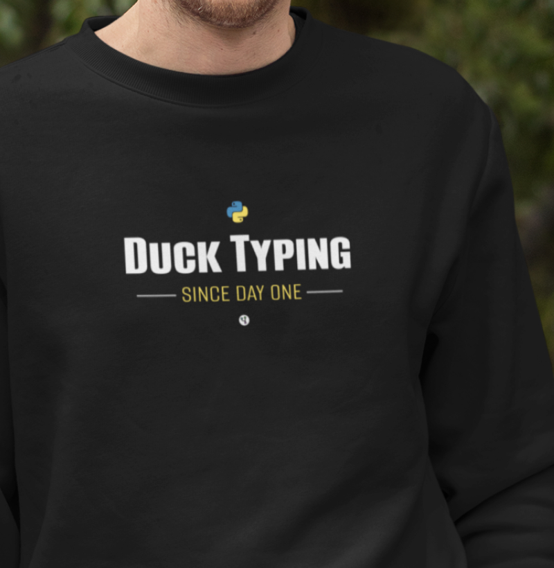Python Duck Typing