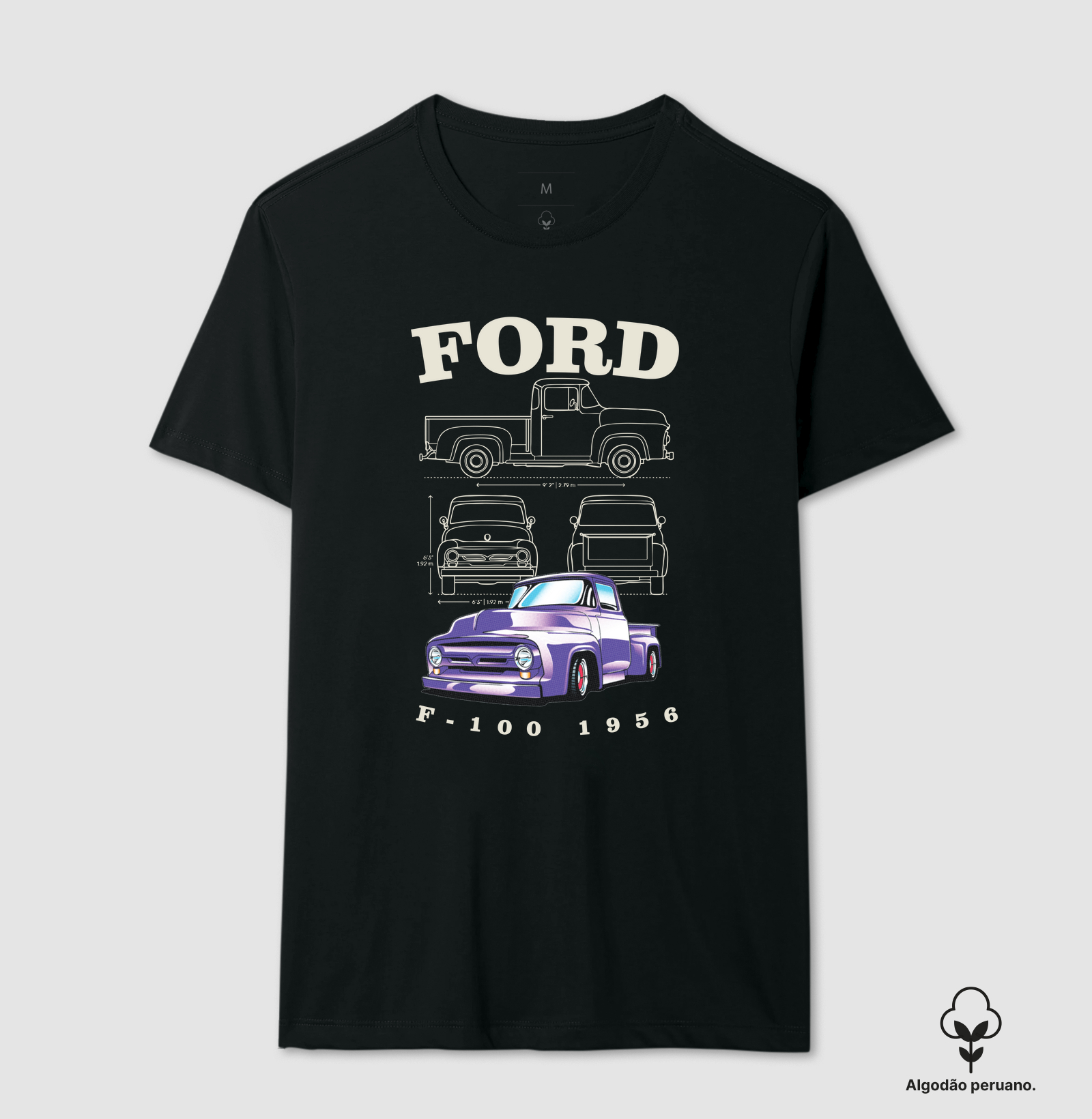F100 1956