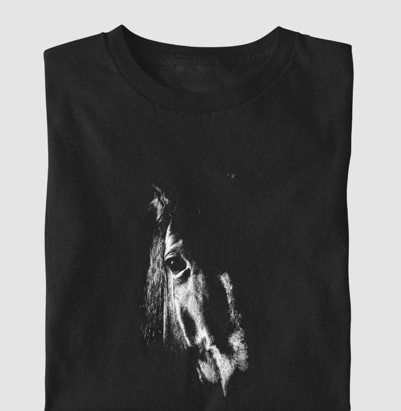 Cavalo Negro
