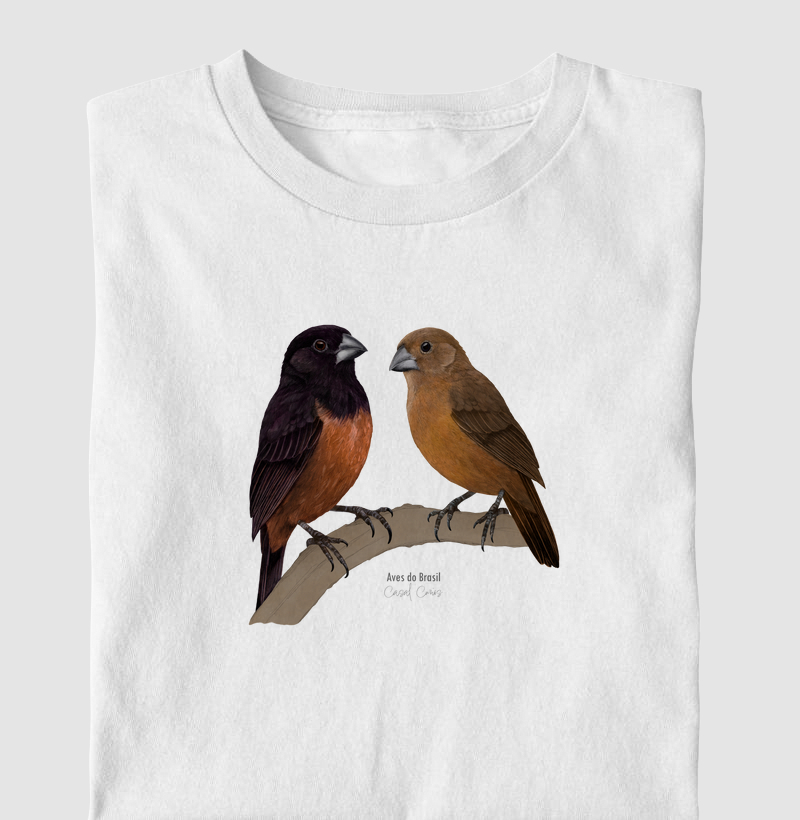 Aves do Brasil II - Casal de Curiós