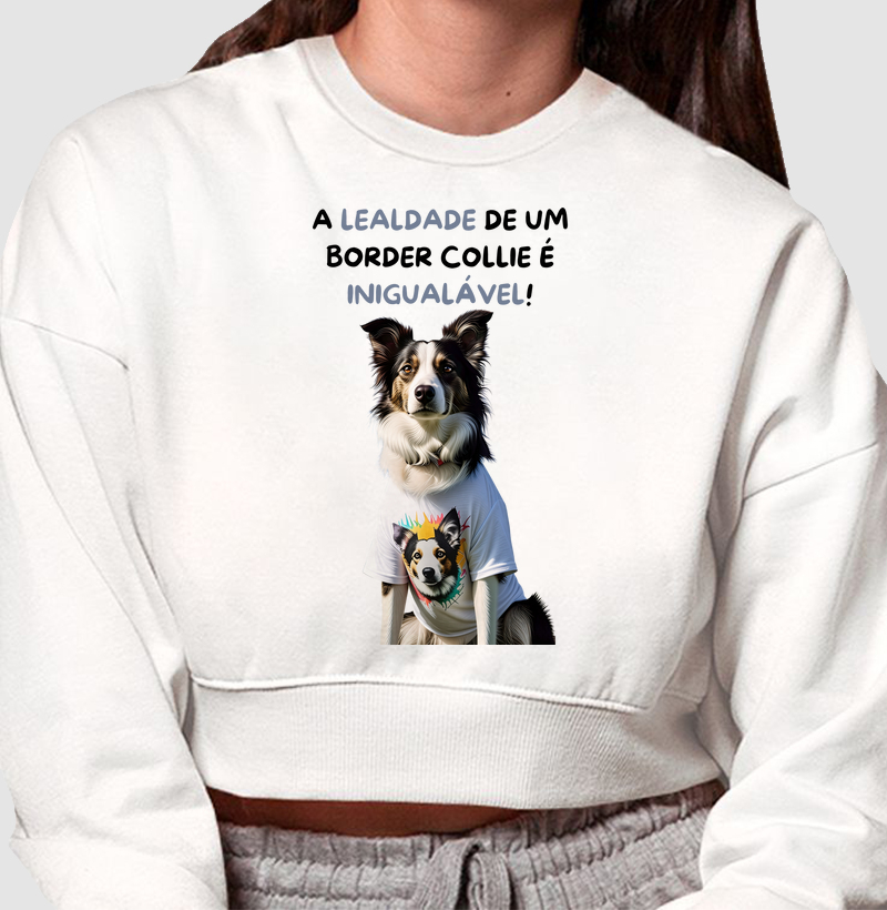 A lealdade de um border collie é inigualável