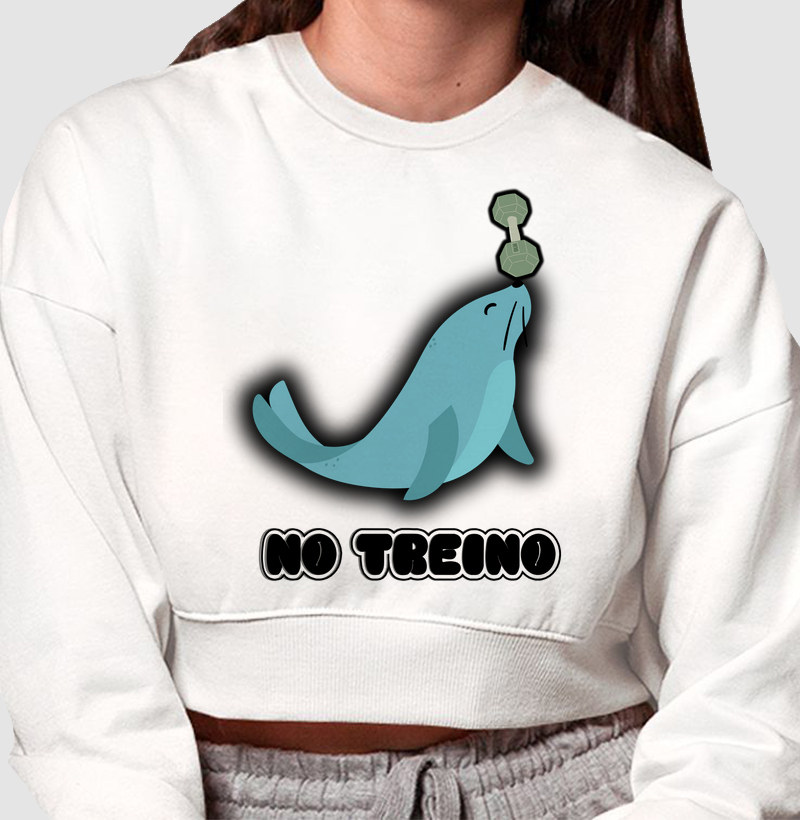 Foca no treino
