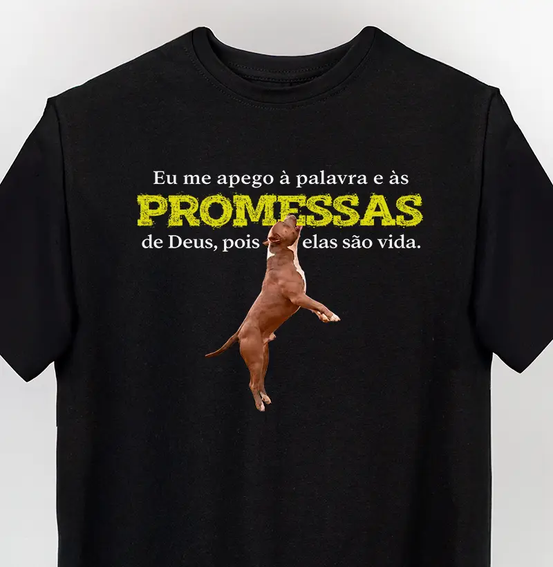 American Bully | Promessas