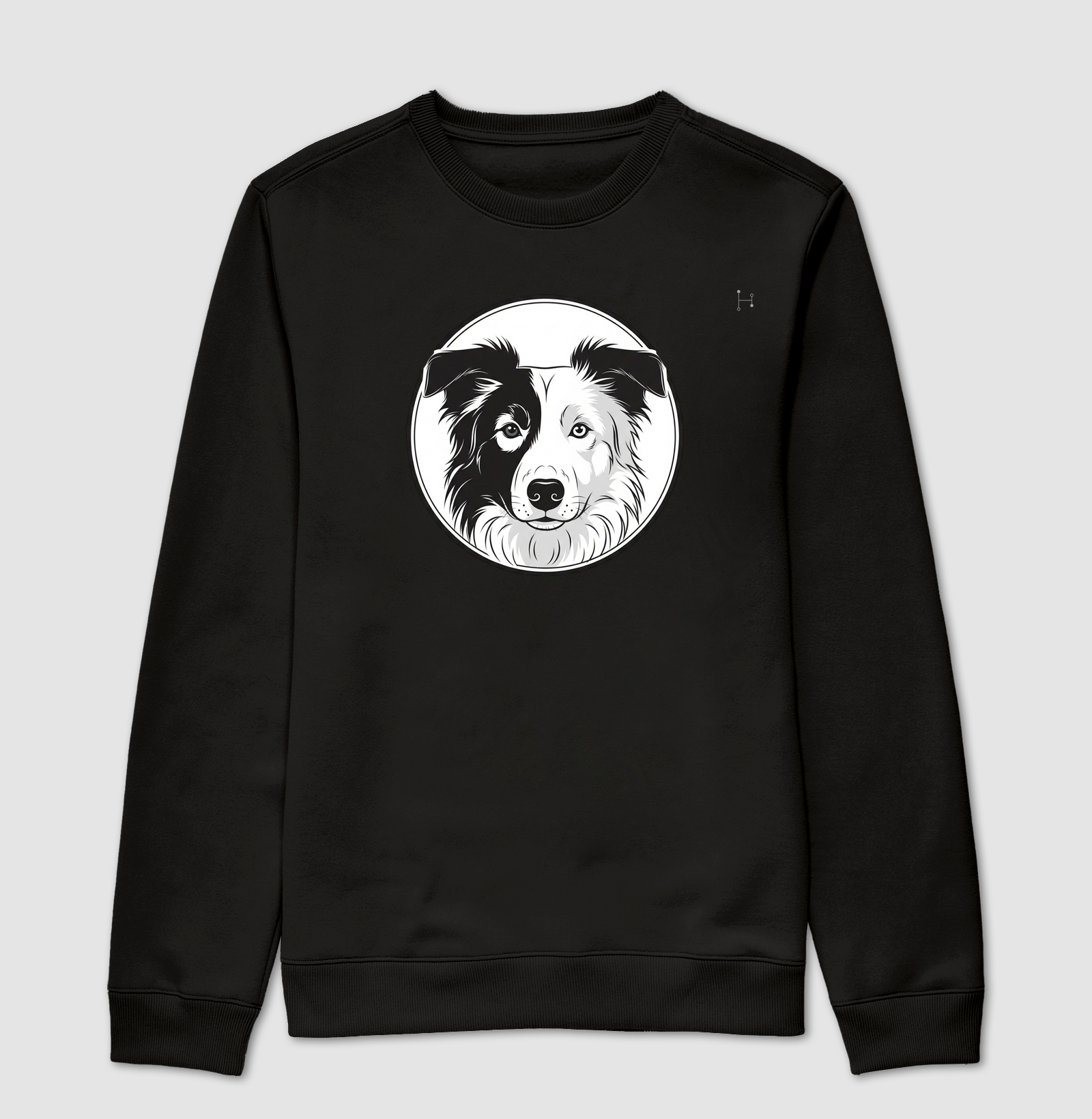 Border Collie - Parceria Pet Raiz