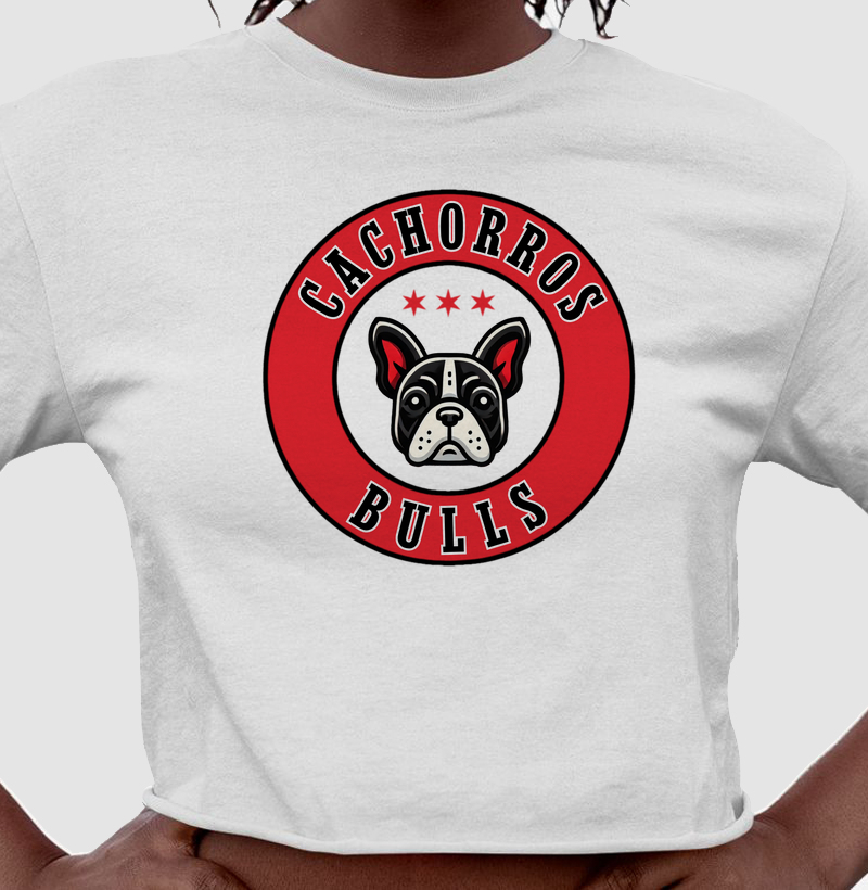 CACHORROS BULLS
