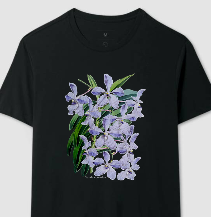 Camiseta Vanda coerulea