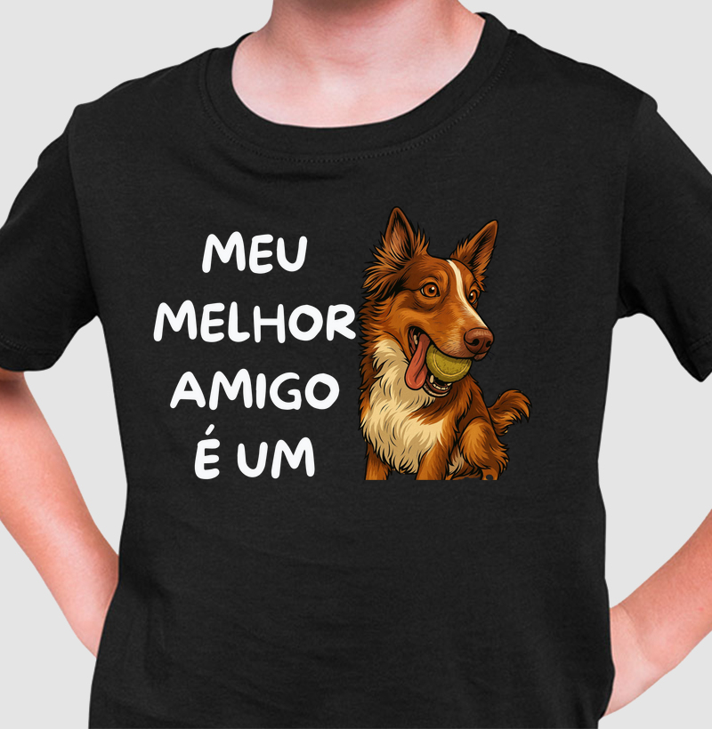 Meu melhor amigo é um border collie