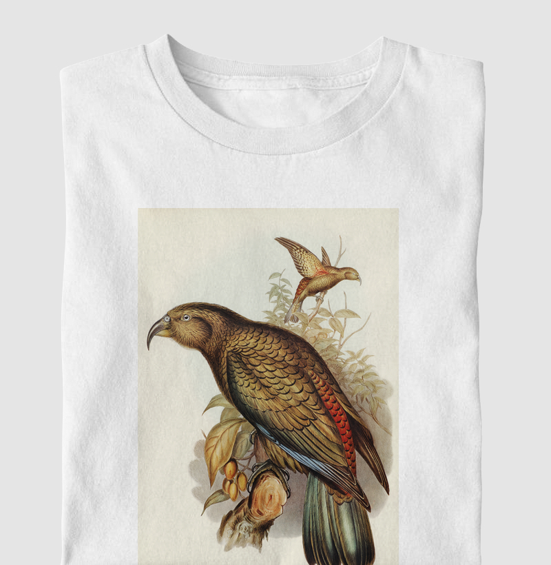 Kea Parrot