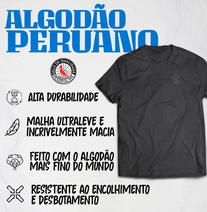 Básica Arraia
