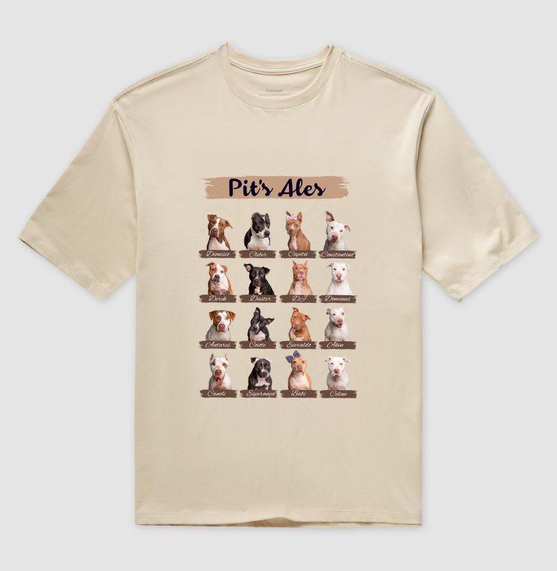 Camiseta Oversized Listras de Pit's Ales