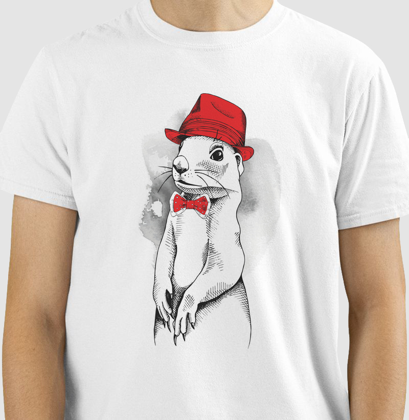 MOUSE & HAT
