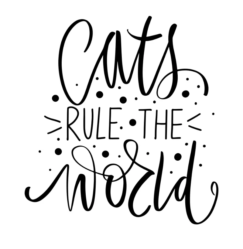 Cats rule the word