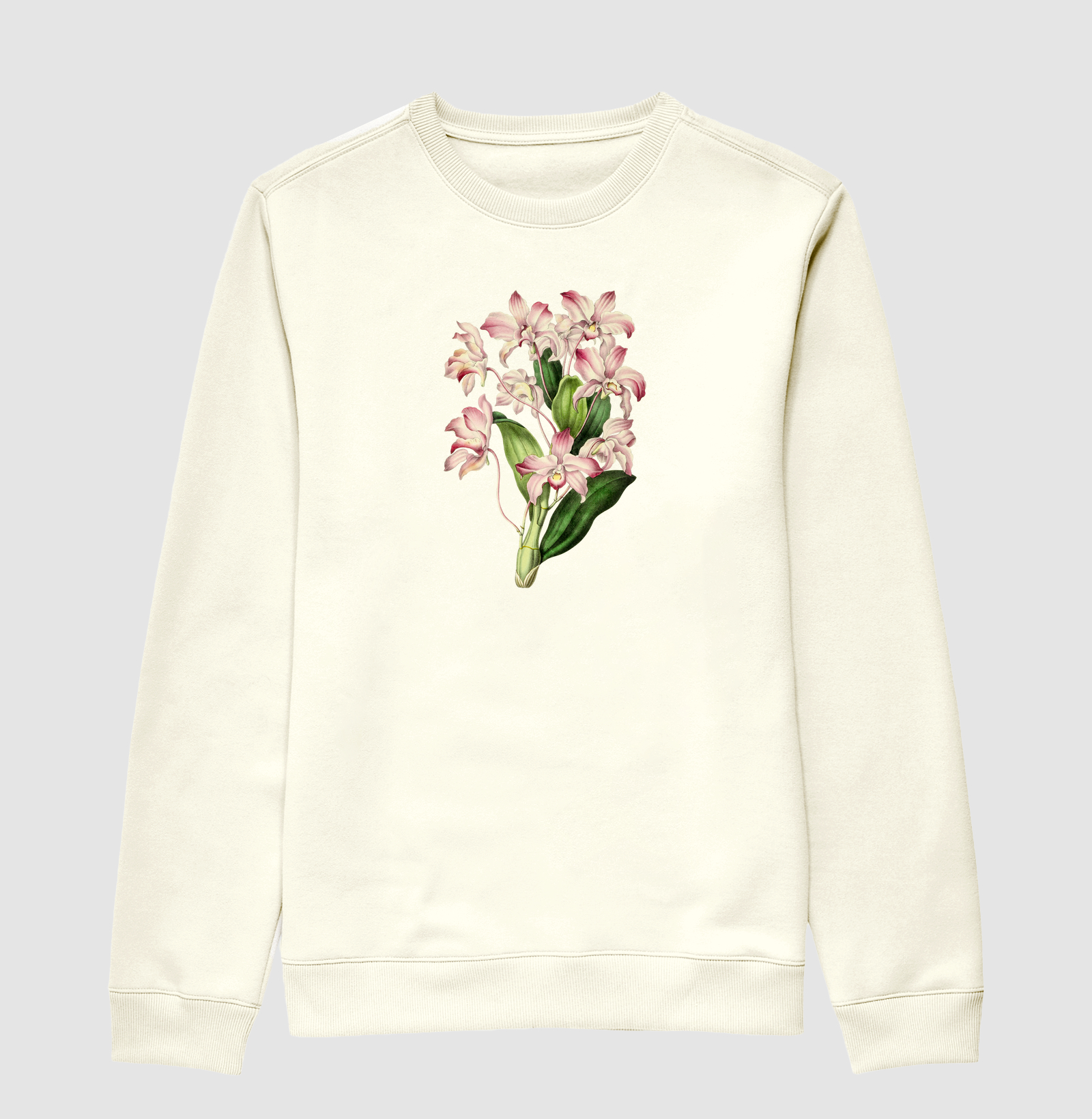 Vintage dendrobium flower
