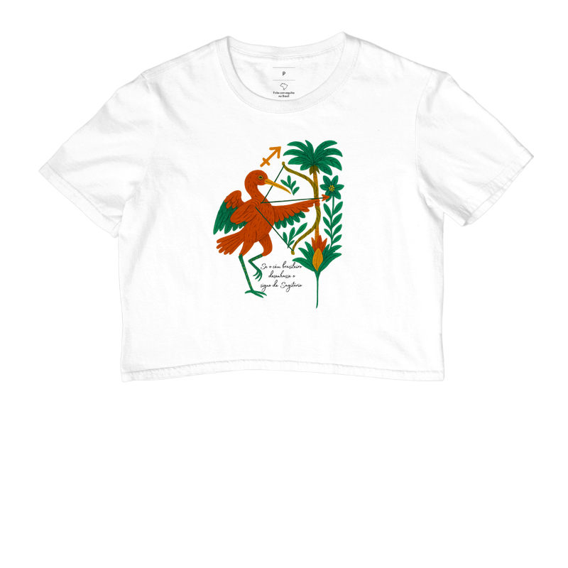 Sagitário desenhado pelo céu brasileiro