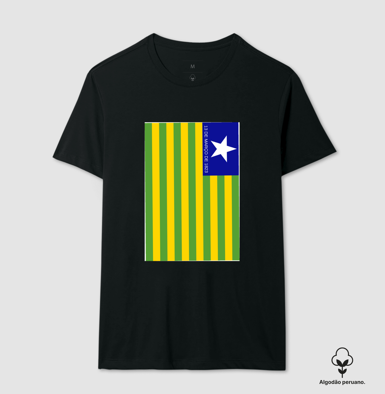 Camisa bandeira do Piaui