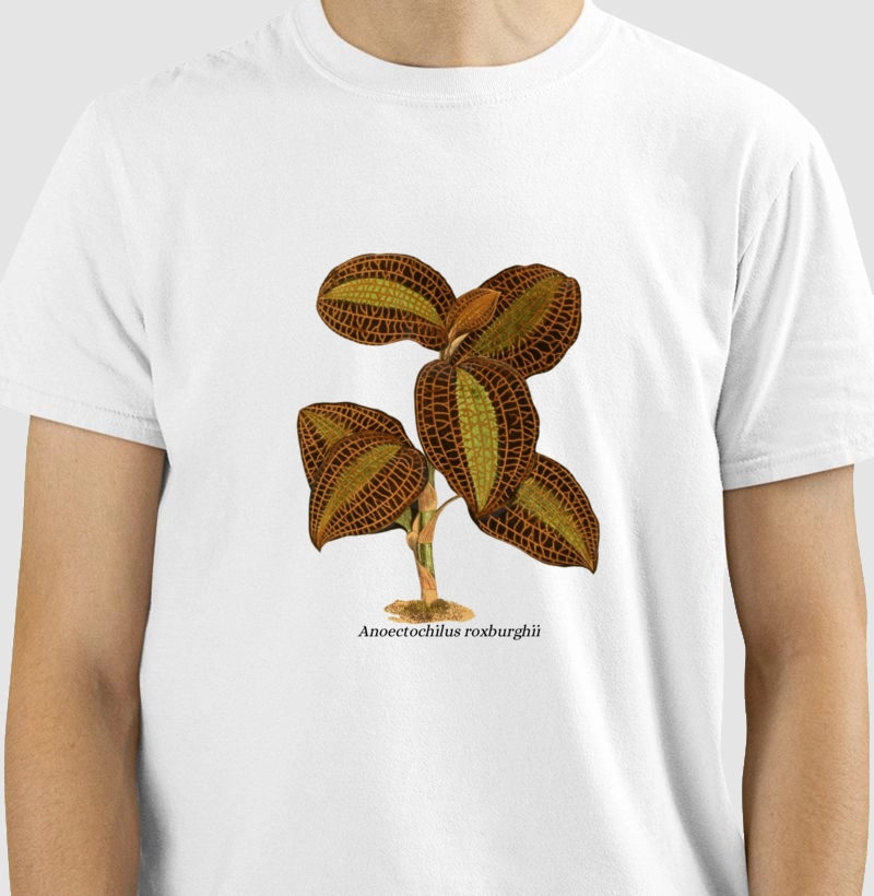 Camiseta Anoectochilus roxburghii