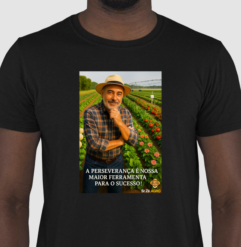 Ferramenta do Sucesso (Perseverança)