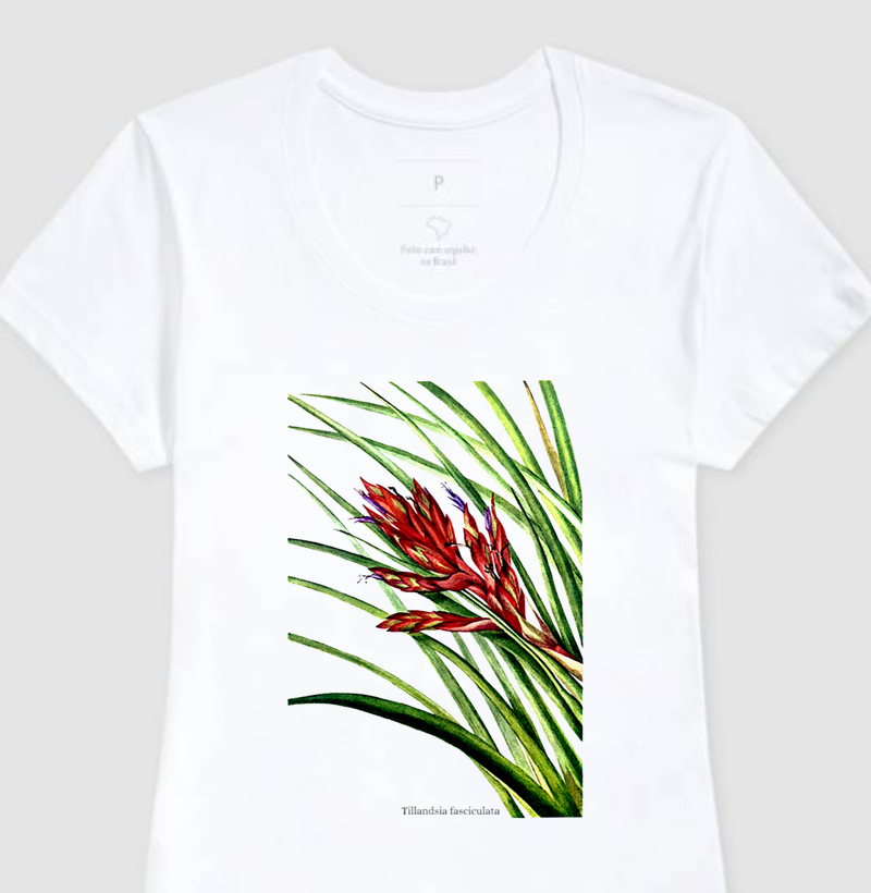 Camiseta Feminina Tillandsia fasciculata