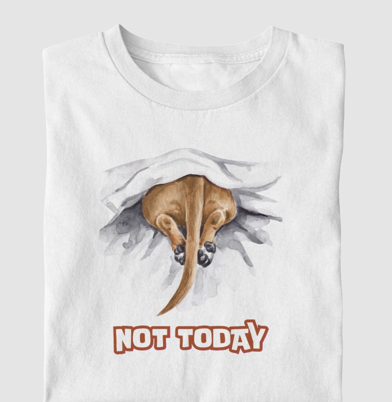 Not today (lazy day)