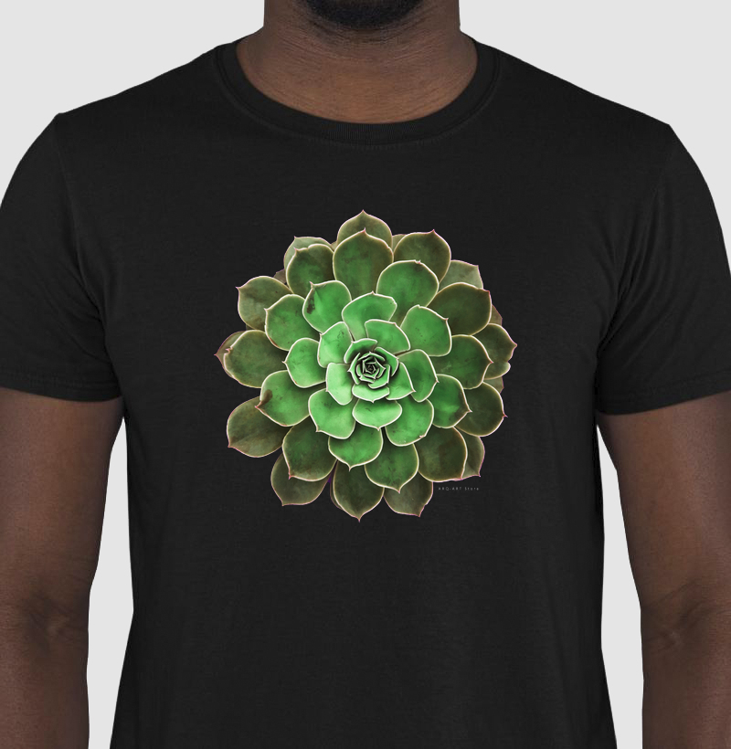 Suculenta verde