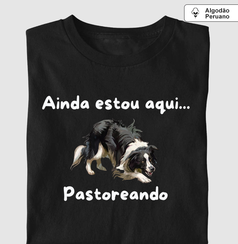 Ainda estou aqui... pastoreando